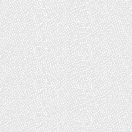 Network - Bright White
