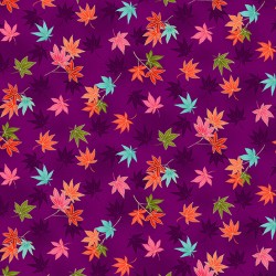 Hikari Maple leaf Lilac