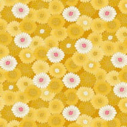Hikari Chrysanthenum Yellow
