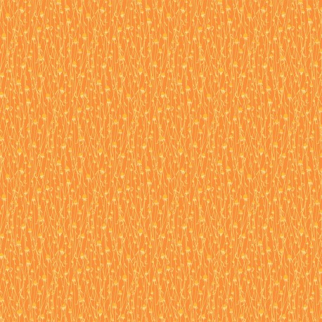 Splendor - Dry Flowers Orange