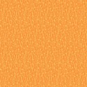 Splendor - Dry Flowers Orange